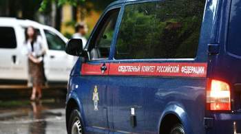 В Рязанской области задержали подозреваемых в ритуальном убийстве подростка