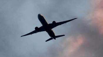 Самолет, вылетевший в Москву, вернулся в Каир из-за сообщения с угрозами