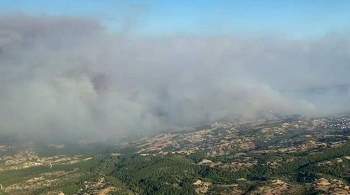 В Турции потушили более ста лесных пожаров