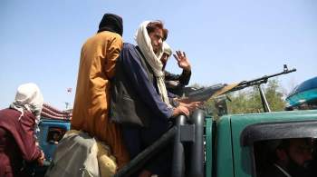  Талибан * определился с системой управления Афганистаном