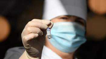 Гинцбург назвал причину долгой регистрации вакцины  Спутник V  в ЕС