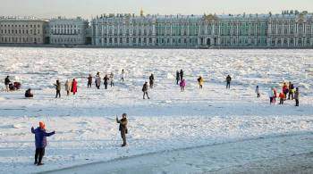 В Петербурге дворник спас провалившегося под лед ребенка
