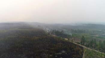 Природные пожары действуют в семи районах Оренбургской области