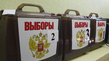 Во Владимирской области явка на выборах составила 18,56 процента