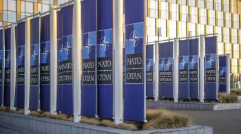  Боже сохрани!  Немцы ужаснулись перспективам вступления Украины в НАТО