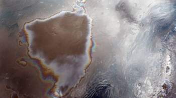 Экологи не выявили источник загрязнения пляжа на севере Сахалина