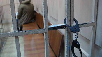 Суд в Белоруссии приговорил россиянина Дудникова к 11 годам колонии