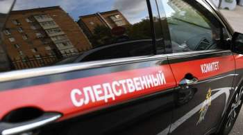 В Новосибирске завели дело против охранника, ударившего ребенка