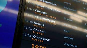 В московских аэропортах из-за метели задержали или отменили более 40 рейсов
