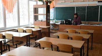 Департамент образования назвал перевод школ на удаленку крайней мерой