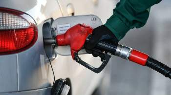 Минэнерго призвало ускоренно запустить процедуру запрета на экспорт бензина