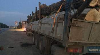 В Ростовской области сорвавшееся с грузовика бревно вызвало крупное ДТП