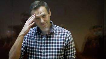 Навальный подал иск из-за отказа учесть доход от работы на СМИ