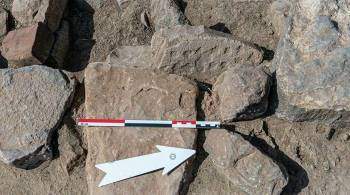 В Омане археологи нашли "нарды", в которые играли четыре тысячи лет назад