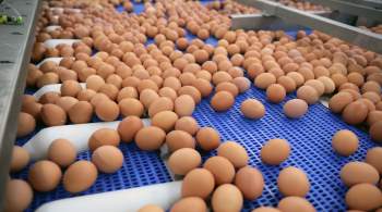 Россельхознадзор запретил поставки яиц и птицы из четырех штатов США