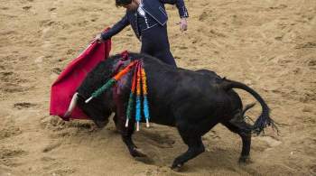 В испанском городе отменили корриду из-за неполиткорректных кличек быков