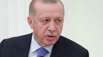 Эрдоган: мир в Сирии зависит от турецко-российских отношений