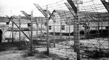 В Карелии нашли место массового захоронения узников финских концлагерей