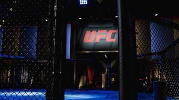 СМИ: Экс-бойца Bellator и UFC задержала полиция после драки