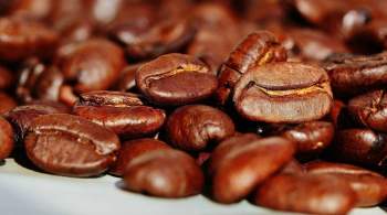 Замена кофе: пять продуктов, которые заряжают энергией