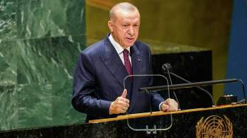 Эрдоган заявил о желании  загнать в угол  постоянных членов СБ ООН