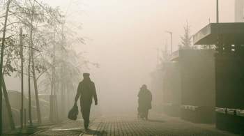 В Екатеринбурге выявили превышение вредных веществ из-за торфяных пожаров