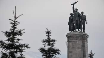 В Софии начали демонтировать памятник Советской армии, сообщили СМИ 
