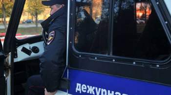 МВД задержало четвертого участника избиения активиста, звонившего Путину