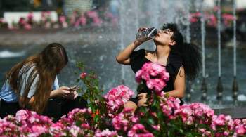 Москвичам пообещали тридцатиградусную жару во второй половине июня