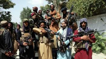 Пентагон отметил заинтересованность талибов в борьбе против ИГ*