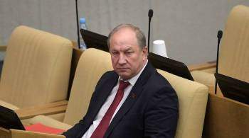 Краснов выступил в Госдуме с представлением о возбуждении дела на Рашкина