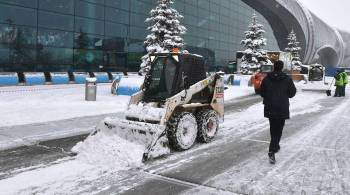 Около 90 авиарейсов задержали или отменили в Москве из-за снегопада