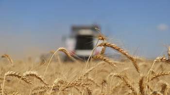 Эрдоган подтвердил продление зерновой сделки
