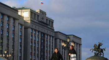 В Госдуме выступили за полный запрет суррогатного материнства в России