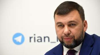 Пушилин назвал предстоящий референдум реализацией устремлений Донбасса