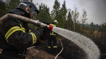Московские спасатели остановили приближение огня к деревне Ольгино