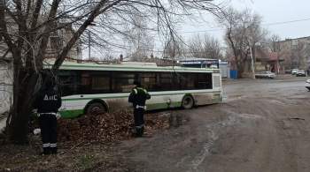 В Ростовской области автобус съехал с дороги и столкнулся с деревом
