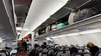 Российским авиакомпаниям хотят запретить рассаживать семьи в самолетах 