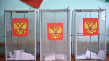 Выборы во Владимирской области признали состоявшимися 