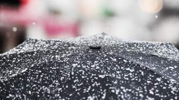 Москвичей предупредили о сильном ливне ночью и снегопаде утром