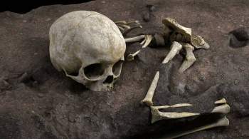 Найдено древнейшее человеческое захоронение в Африке
