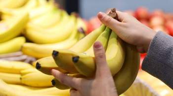 Эквадорский эксперт рассказал, когда упадут цены на бананы
