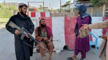 В МИД оценили шансы  Талибана * на захват Кабула