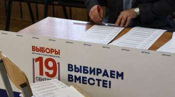 В Курской области явка на выборы составила десять процентов