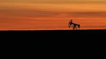 ОПЕК опубликовала доклад с прогнозами по нефтяному рынку