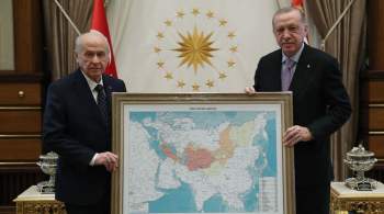 Турецкие националисты призвали Зеленского уважительно говорить об их стране