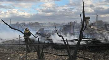 Пострадавшим от пожаров в Омской области семьям выделят по 25 тысяч рублей