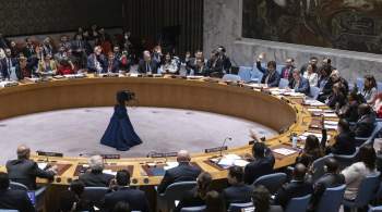 США отказались выпустить заявление по итогам заседания СБ ООН по Палестине 