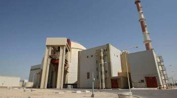 Тегеран ожидает ускорения строительства блоков АЭС в Бушере, заявили в ОАЭИ