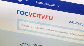 До 340 тысяч запросов в секунду. Хакеры с Украины атаковали  Госуслуги 